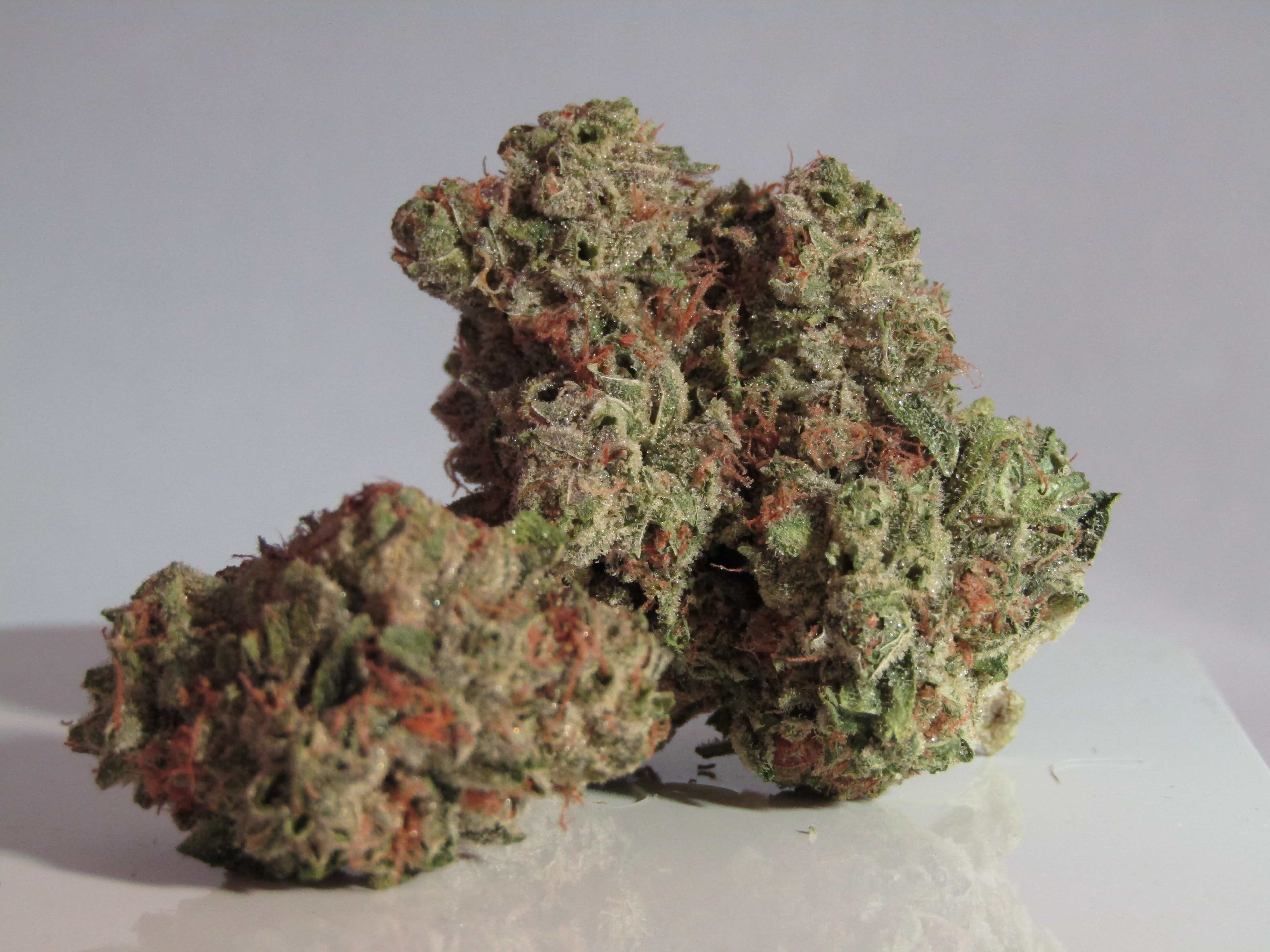 Massachusetts Marijuana Bond