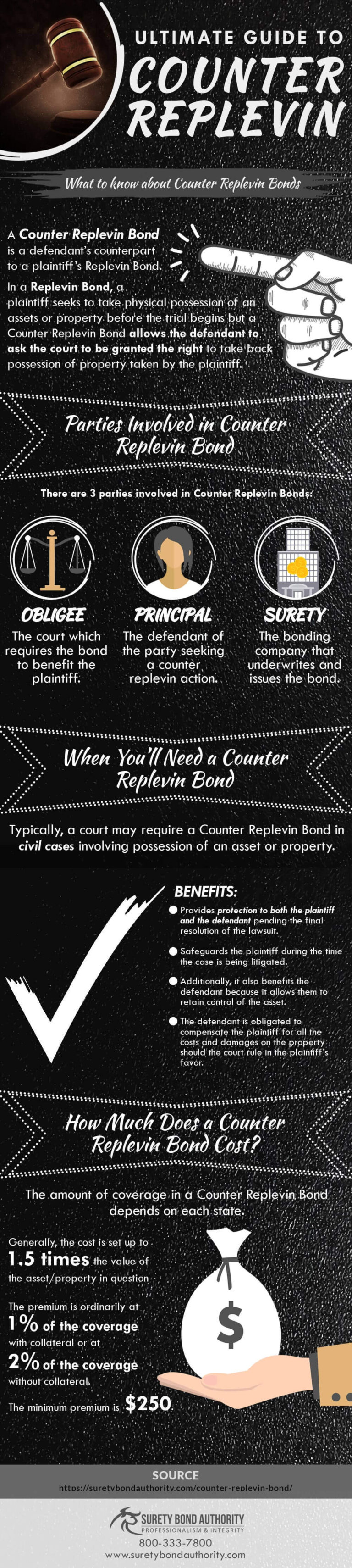 Counter Replevin Bonds Infographic
