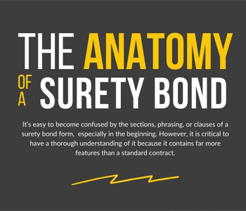 Anatomy of a Surety Bond Form